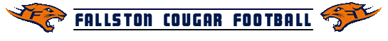 newsfflogo.png